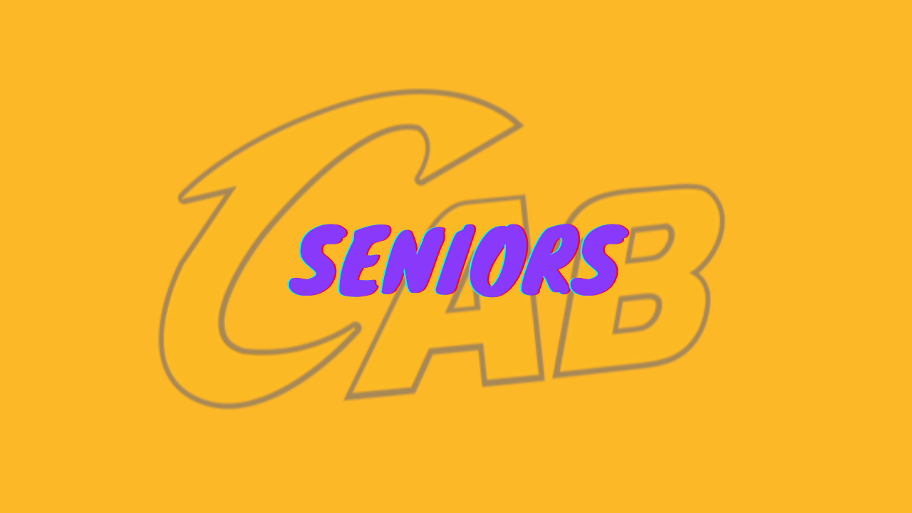 seniors basket croix dargent montpellier