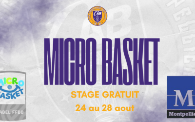 Micro Basket